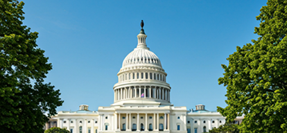 Understanding Policy: A Citizen’s Guide